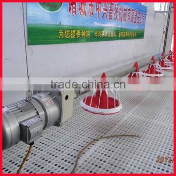Poultry Raising Broiler Automatic Chicken Feeding System