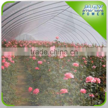 Micro Spray irrigation for rose greenhouse