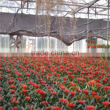 Multi Span Tunnel PE Plastic Film Hydroponic Systems Agricultural Commercial Greenhouse photo-3