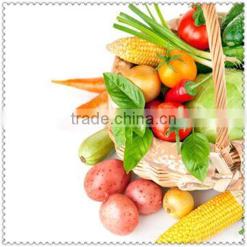 Hot Electric Industrial Stainless Steel Food Vegetable Chopper Cutting Machine photo-2