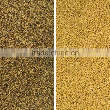 Engineer Oversea Service Available Vegetable Seeds Color Optical Sorter photo-3