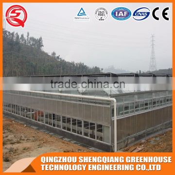 Hot sale large Multi-span glass agricultural Greenhouses for vegetables ,flowers