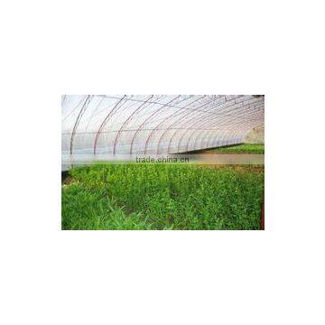 PE agricultural film/PE greenhouse film/PE mulch film