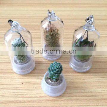 Wholesale Factory Cheap Glass Potted Meaty Cactus Plant Keychain, Super Mini Personal Gift Decorative Keychain Plant Design photo-2