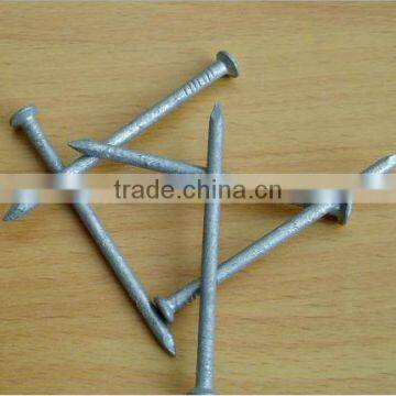 Hot-dipped Galvanized Common Wire Nail From Manufacturer photo-2