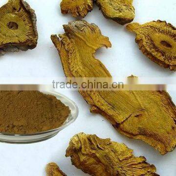 Polygonum Cuspidatum extract powder/pure natural resveratrol