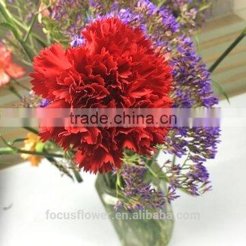 the best quanlity carnation cut flower prices fresh cut flowers as a gift