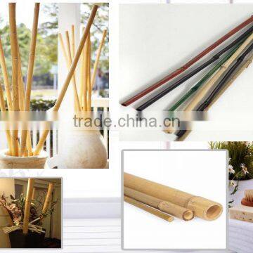 raw tonkin bamboo canes moso bamboo poles used for decoration