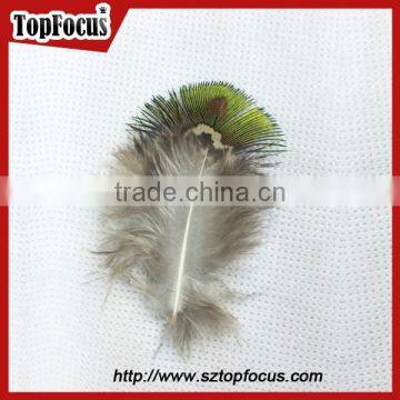 Hot Sale Designer Indian Cheap Natural Artificial Peacock Feathers photo-5