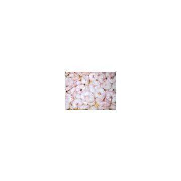 Sell Red Shrimp (Hong Kong)