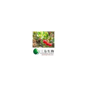 Bearberry P.E., 20~98%Ursolic acid