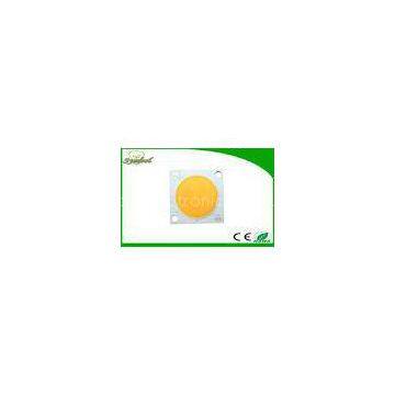 3 w - 60W COB Leds Bridgelux Chips RA80 With 25MM Luminous Surface