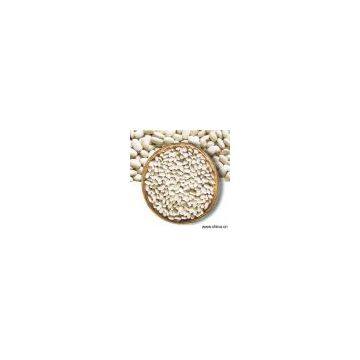 Sell White Kidney Bean