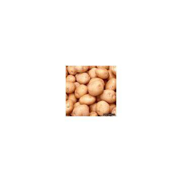 Potato Starch