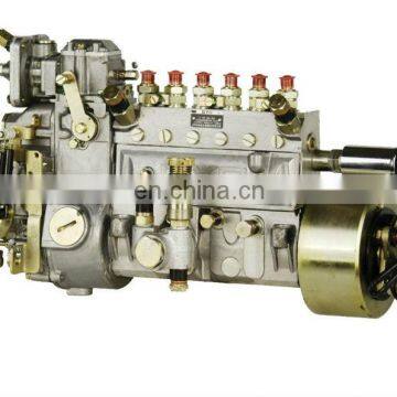 6110Z1A1 Engine Fuel Injection Pump 10402166024 /10 402 166 024 132kW CPE6AD105D312LS2118 Injection Pump