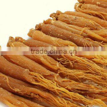 Red Ginseng Root / Panax Ginseng / Ninjin / Insam With Tail Tonic Body photo-3