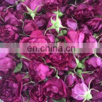 Commerical Type Vegetables Dewating Machine Dryer Electric Food Dehydrator 48 Tray Fruit Drying Machine