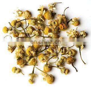 Vietnam Organic Dried Chrysanthemum Flower Tea/ High Quality Natural and Healthy Dried Daisy Flower Herbal Tea From Vietnam photo-2