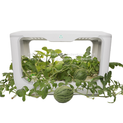 Indoor Hydroponic Automatico Grow Box Smart Mini Grow House Growboxcomplete photo-4