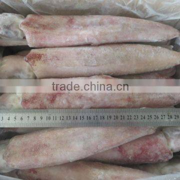 Frozen delicious round squid from China