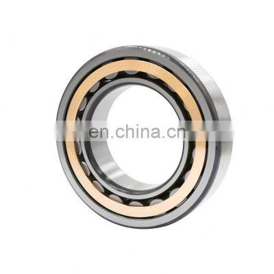 bearing RN205E RN205M Cylindrical Roller Bearing 25x45x15mm