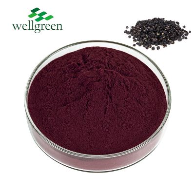 FREE SAMPLE Goji Berry Powder Lcycium Barbarum Polysaccharide Goji Berry Extract Wolfberry Extract