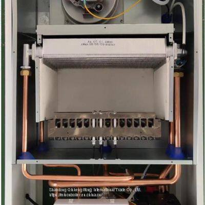 MISION Factory Wholesale Price Oem Customized 20kw Wall Hanging Gas Boiler photo-2