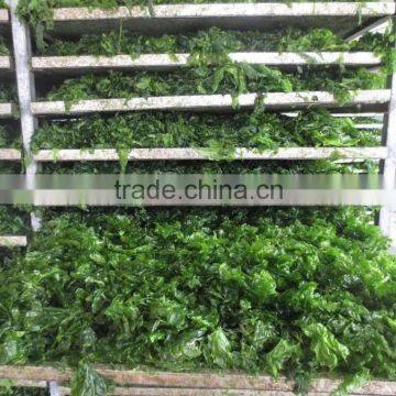 Sea Lettuce,Seaweed Flakes,Dried Seaweed For Sale