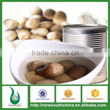 Canned Straw Mushrooms wholesale