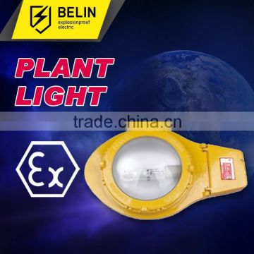 BLC8610 explosion proof road light