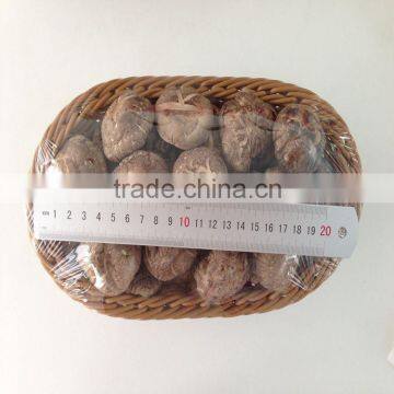 Dried Tea Flower Shiitake Mushroom photo-2