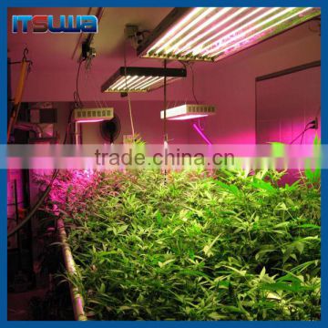 Green led grow light for medical plants growing hot jizz tube