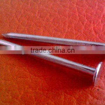 Big Head Clout Nail photo-6