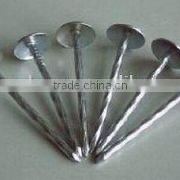 smooth shank roofing nails
