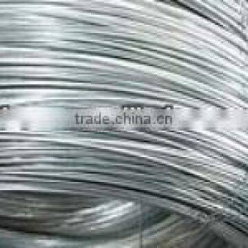 Electro/Hot Dipped Galvanized Steel Wire Factory