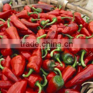 2014 new crop hota sale sweet paprika