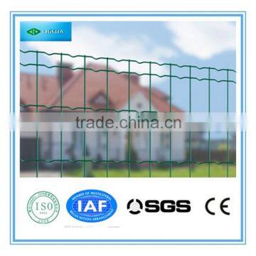 High Quality Euro Welded Fence on Low Price photo-6