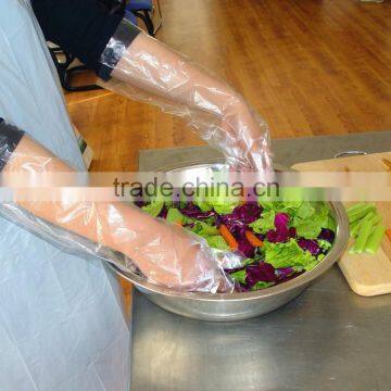 Clean and Cheap Food Grade Plastic Kitchen Gloves Quality Choice photo-4