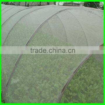 Polythene Anti Insect Netting Export Thailand photo-6