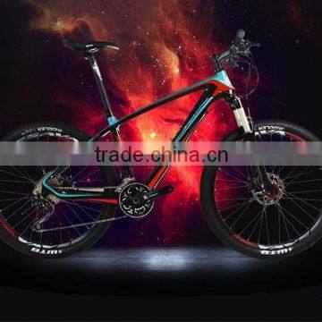 Carbon Road Racing Bicycle Complete Bike Wholesale