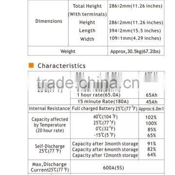 VRLA 12v 100ah Batteries for Wind System Front Terminal Battery photo-6