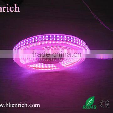 pink color led strip light double line leds 120pcs