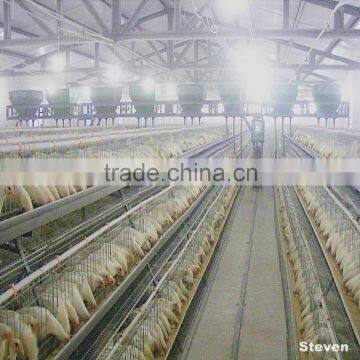 Design poultry farm automatic egg layer cage