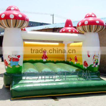 Adult Inflatable Bounce 5m x 5m or 6m x 6m