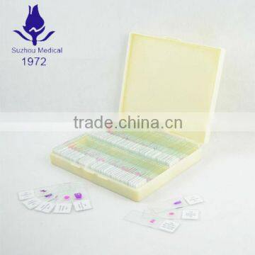 100pcs Most Popular Histology Slides photo-2