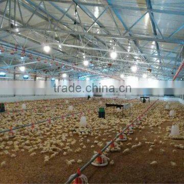 broiler ground raising equipment chicken house