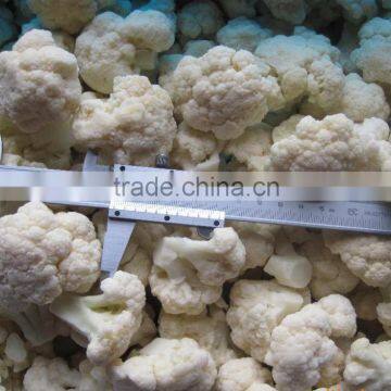 IQF FROZEN CAULIFLOWER 2-4CM,3-5CM,GOOD QUALITY ON SALE