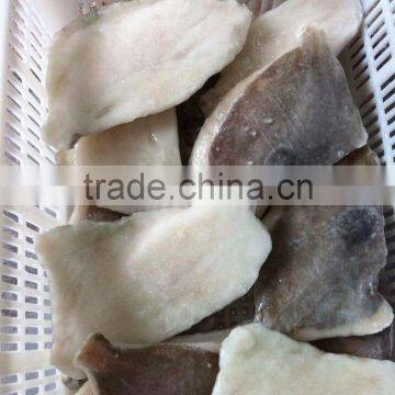 2015 new coming fresh frozen john dory fillet