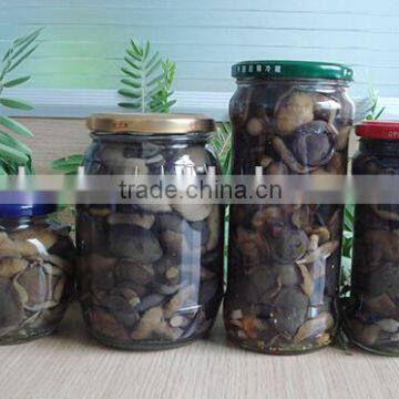 Natural and free-polution canned mushroom in jar from China