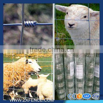 High Tensile Galvanized Cattle Horse Mesh Fence photo-5